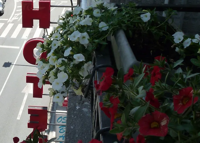 Nest El Camino * Santiago de Compostela